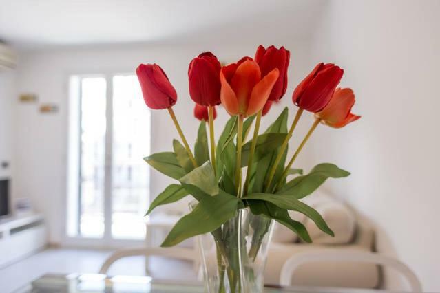 Apartament Casa Grazia Letojanni Mare Zewnętrze zdjęcie